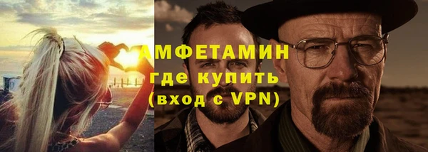 сатива Богданович