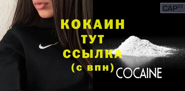 сатива Богданович