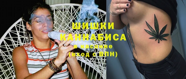сатива Богданович