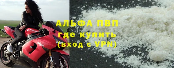 сатива Богданович